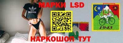 гашик Нарткала